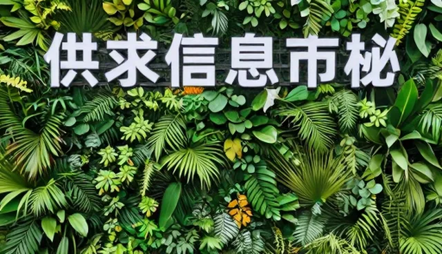 网站定制好的公司哪家好，信息更新是关键